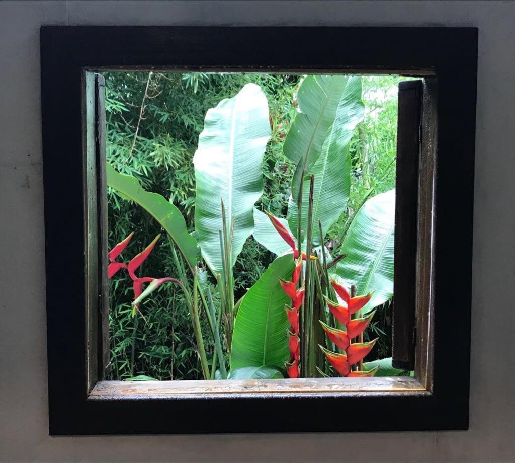 Pousada Rainforest House - Ilha Grande מראה חיצוני תמונה