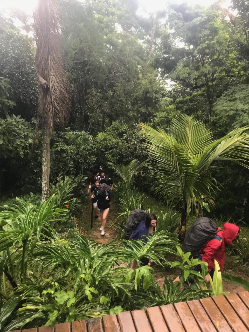 Pousada Rainforest House - Ilha Grande מראה חיצוני תמונה