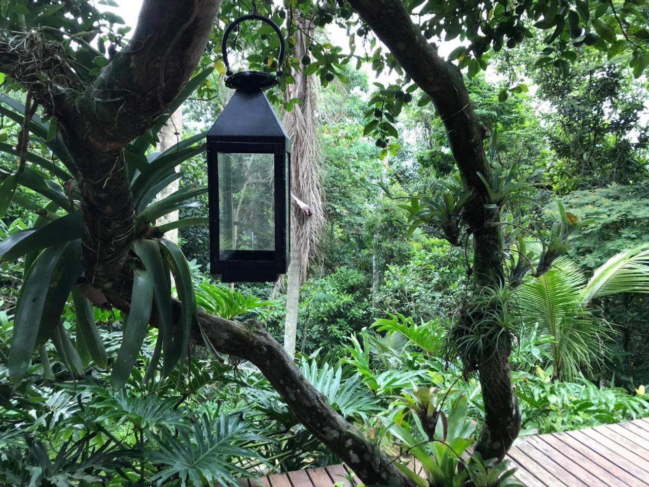 Pousada Rainforest House - Ilha Grande מראה חיצוני תמונה