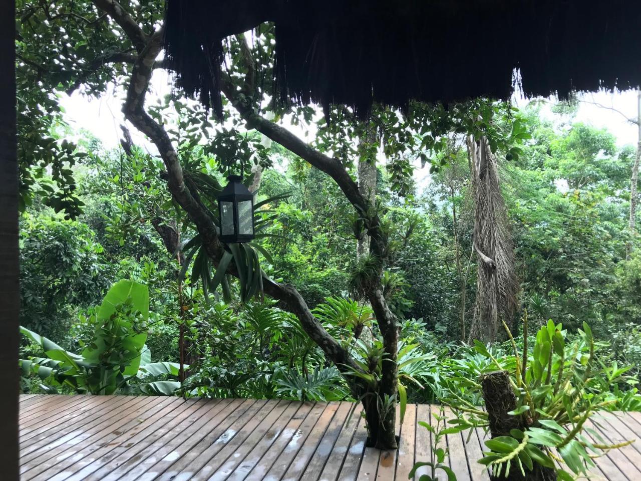 Pousada Rainforest House - Ilha Grande מראה חיצוני תמונה