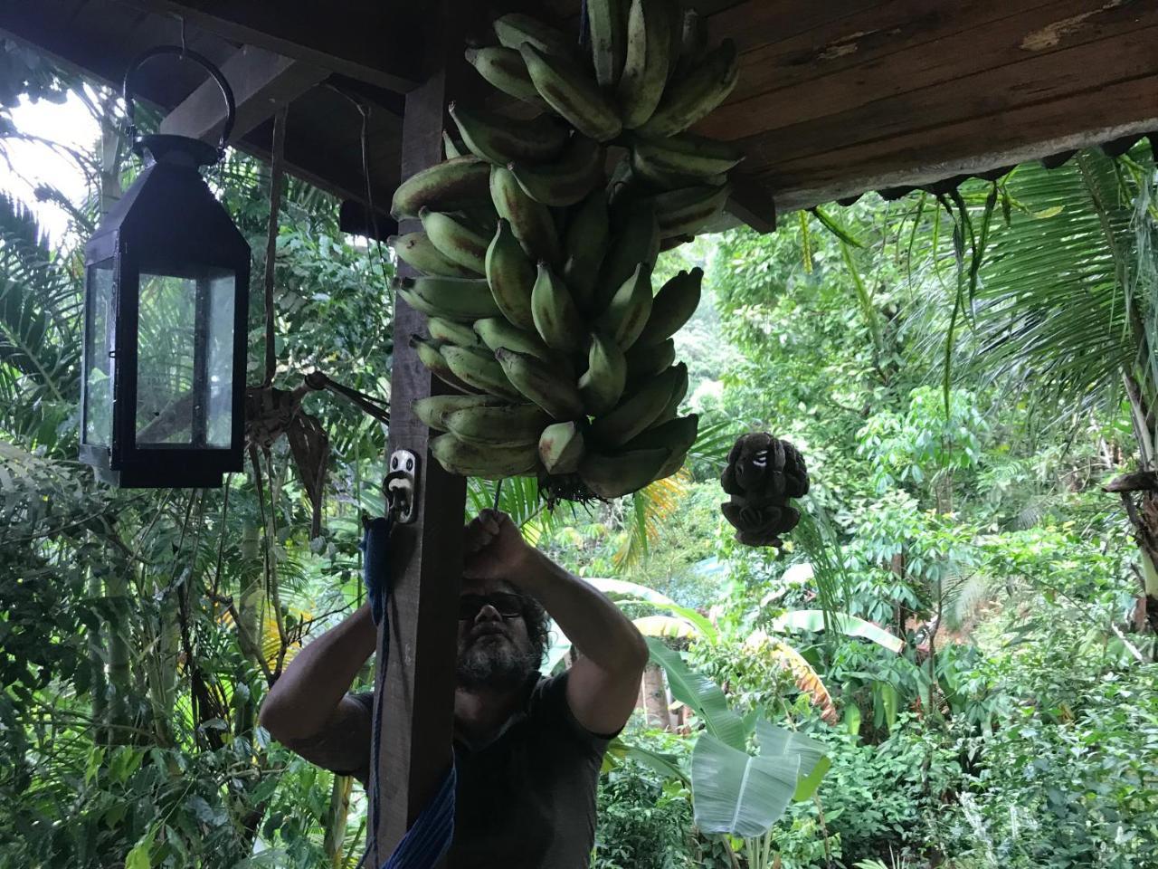 Pousada Rainforest House - Ilha Grande מראה חיצוני תמונה